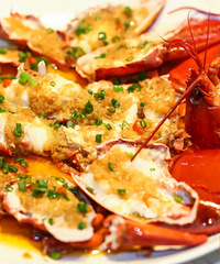 ˾52ʵֲʿϺɡĿϰп