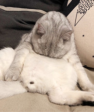 ����Ȼ�������Ĳ��в���