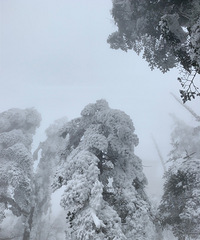 ȥüɽ𶥴򿨣Ʋ㣬ϲ