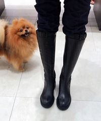 βݺܻİʿѥϾģ춼Pͼȵ~