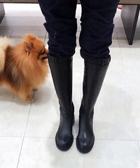 �βݺܻ�İ�����ʿѥ���Ͼ�����ģ�����춼��Pͼ���ȵ�~