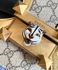 �Ҿ�Ȼ3��������Gucci�����滢ͷ����һ˲��о��Լ�׬����