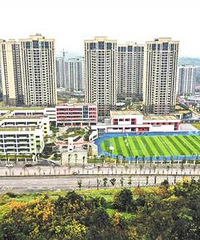 蔡家朝阳小学金兴校区师资力量如何?今年才开