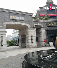 wanghong盘长嘉汇的江景, 看起确实霸道