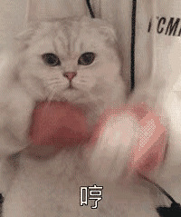 �߼�������Ů�ǵ���