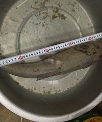 ���������һ�����㣬��ҿ���������ʲôƷ��