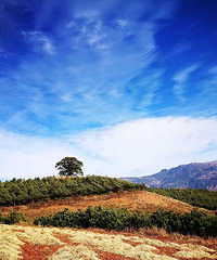 ̵2019ܱμǣع˿ķ羰