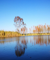 ̵2019ܱμǣع˿ķ羰