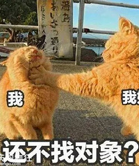 �ھӸ��ҽ�����һ��ֲ��������