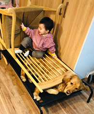 �������ѣ���ֻ�뾲��