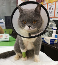 ˵˵è��·��ʯ�����ƾ���