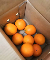 ɿڵĳӣƤˮֺ㣬һӳ