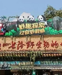 ڹݳ¡Ұ԰˶𣿴5޶ȥջ