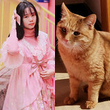 家有萌猫的妹子找对象