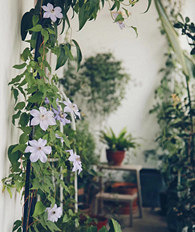 ��̨����������һֱ���Ż�