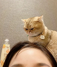 �������Ͳ�������˯���þ�