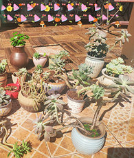 ¶���Ķ��ⳤ��Խ��Խ��