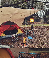 ¶Ӫ�ƹ�ɽ��������ҹ