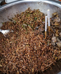 �����һ��Էۣ�������׼ӷ���Ѫ���µ�������ζ