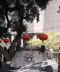 ������ݱ��Ƶĳ������������������Ƴ�����������