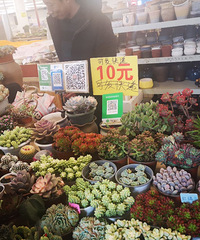 2020ĵһȥ˴˵пԼϻУȷ