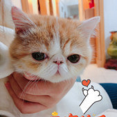 ��ֻè���춼�ڴ��˯