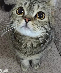 ÿ�ζ�Ҫ�����������ɾ�