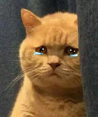 �����ڼ�ë������ô���ã�