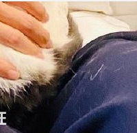 Фս��èҲ�㲻����ë��������