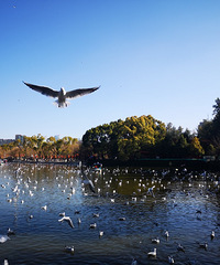 ���϶������������ģ�