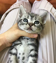 ������˭��ס���ҵ��ʺ�