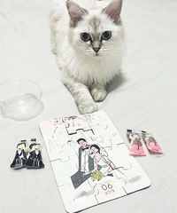 ���������ҿ������ر�ģ�ƴ�����ǲ��ǲ��ܲμӻ�����