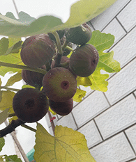 30������޻��������