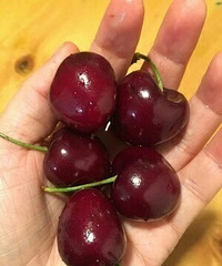 大家都买了些什么年货?一起晒出来分享推荐