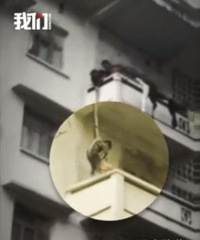 The old man hanged his grandson with a rope to save the cat!