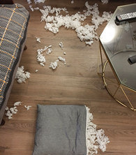 �Ҽ�è���ƻ������ȹ�ʿ��