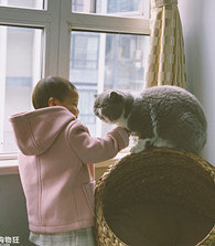 è���͹����õ��а�����