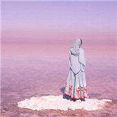 ȥ���ʿ���Ƭ�ۺ�