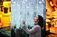 ��˽�صĽ���������ɣ��������������ն��ܻر�