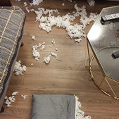 This destructive power is comparable to the Husky