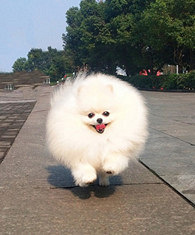 �������������һ��