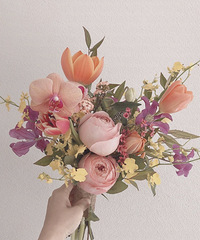 6���ر���������Ƽ��������������һĨ��ɫ��