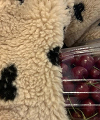 ȥнԱҪҪӣˣҪʲôӣ