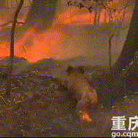 �����Ŀ�������ʹ��