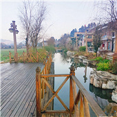 3Сʱ�����������⡱