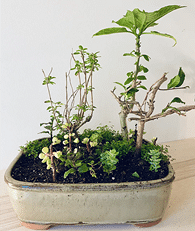 �Լ�diy���辰�����ÿ�