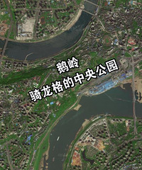 来评评渝中鹅岭的位置