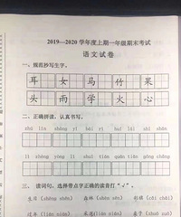 2019һ꼶ľӣǿǲǱȽ