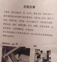 Ѱ�������²����������°�