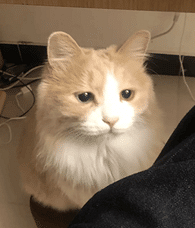 è�����ҵ���Ƥ����ô�죿